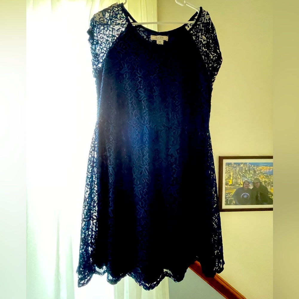 Adam Levine Navy Blue Dress